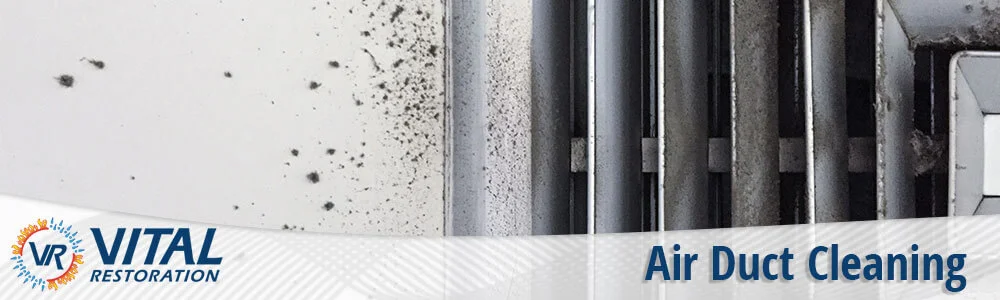 Air duct cleaning and mold removal in San Diego, California.